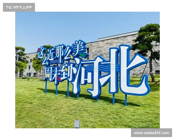 以以然并卵为起点畅游网络语言创意与趣味探索之旅 以以然并卵为起点畅游网络语言创意与趣味探索之旅