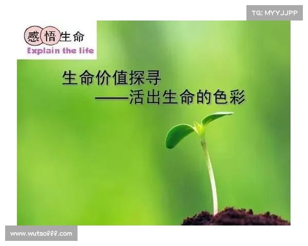 以青春燃烧的意义探寻生命激情与奋斗价值的深远启示 以青春燃烧的意义探寻生命激情与奋斗价值的深远启示